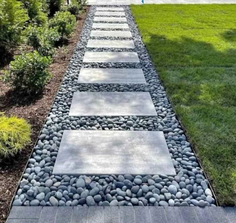 WhatsApp Image 2026-02-05 at 10.29