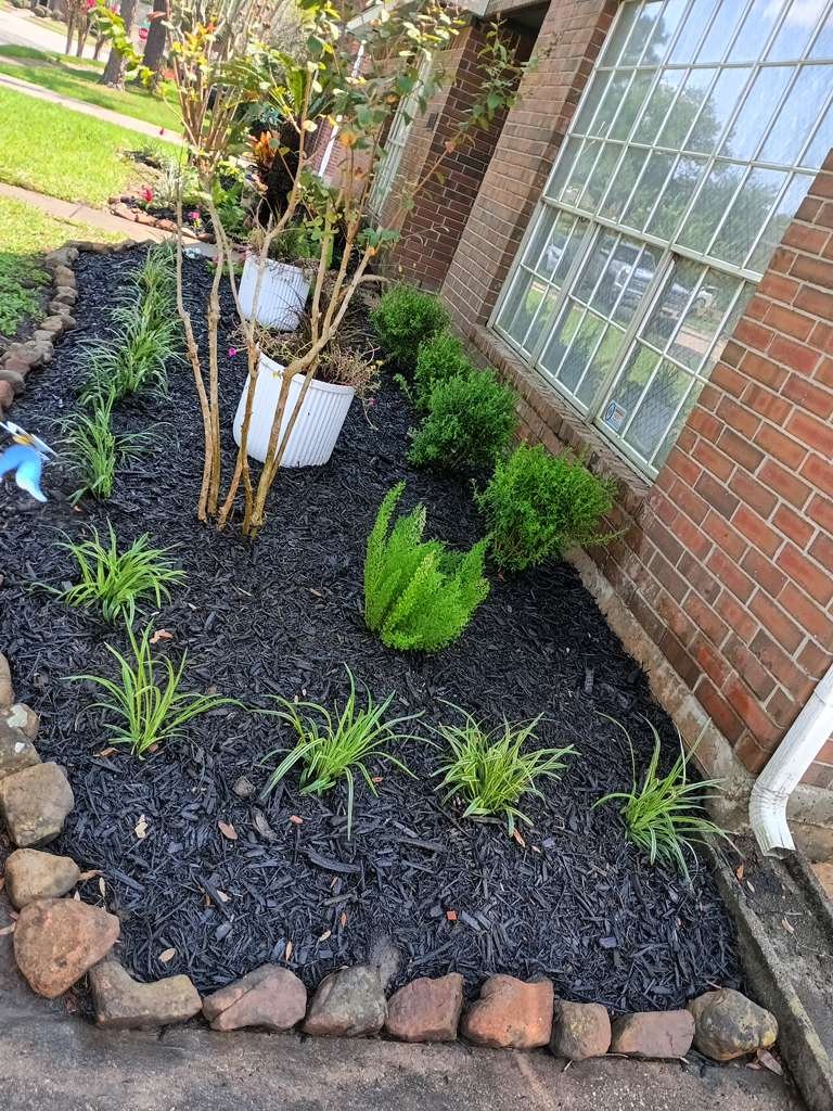 WhatsApp Image 2026-02-05 at 10.29