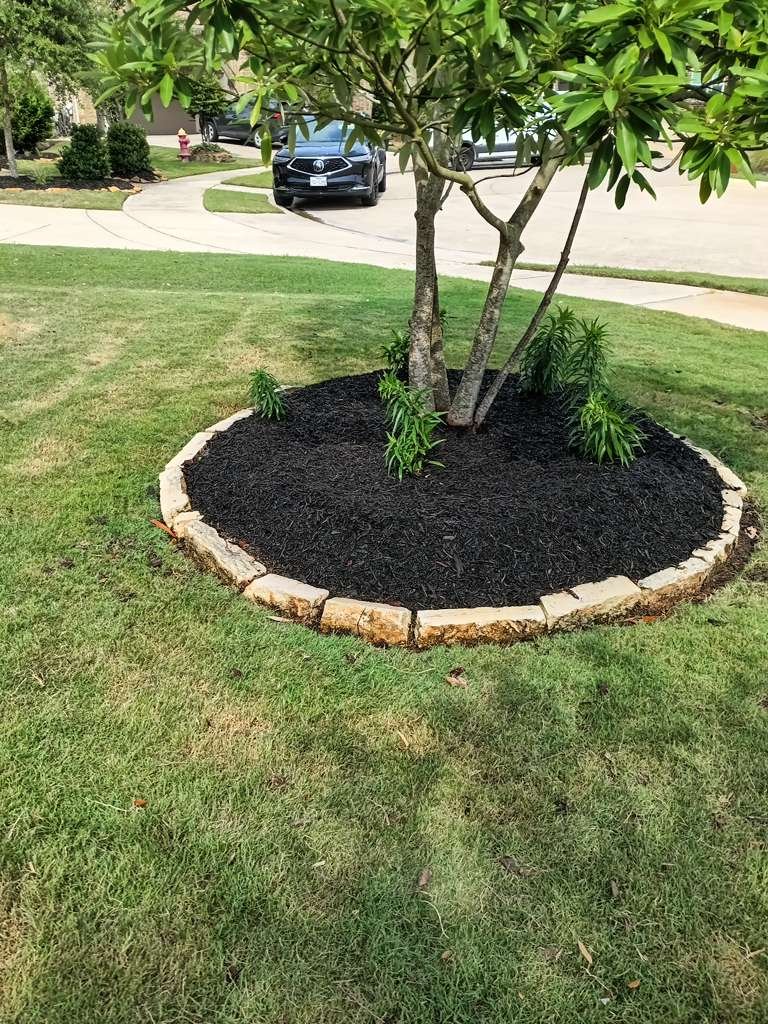 WhatsApp Image 2026-02-05 at 10.29