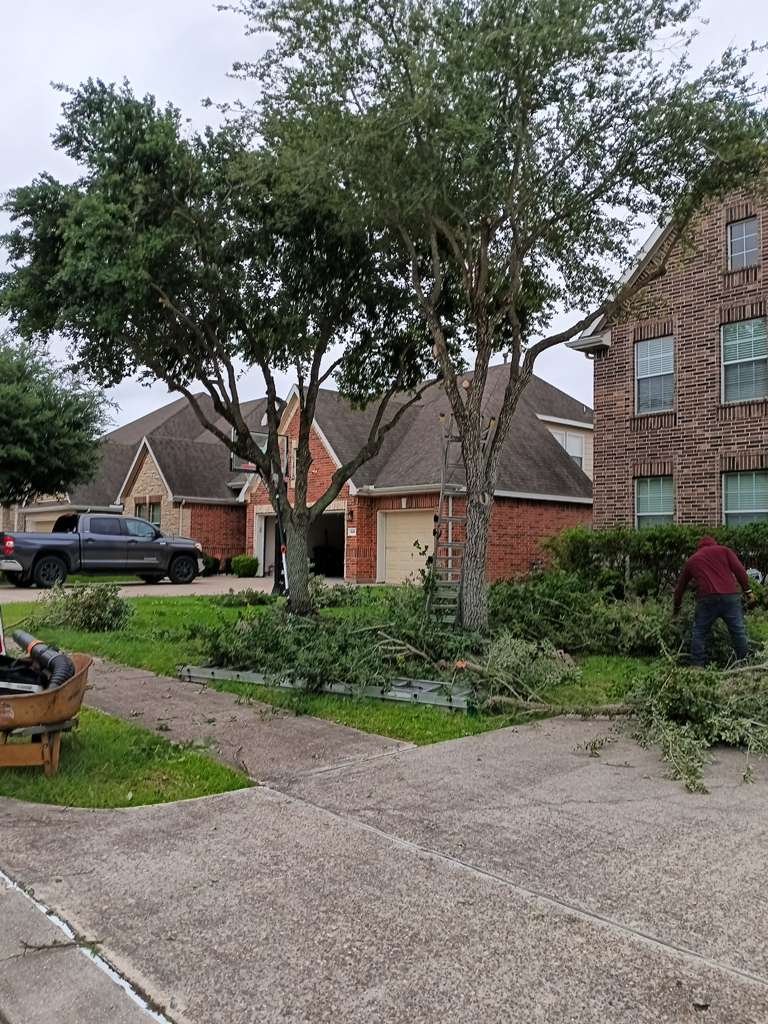 WhatsApp Image 2026-02-05 at 10.29