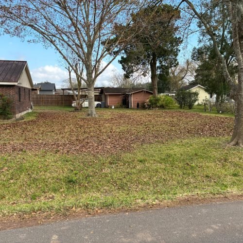 WhatsApp Image 2026-02-05 at 10.29.04 AM