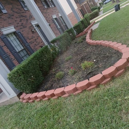 WhatsApp Image 2026-02-05 at 10.29.05 AM