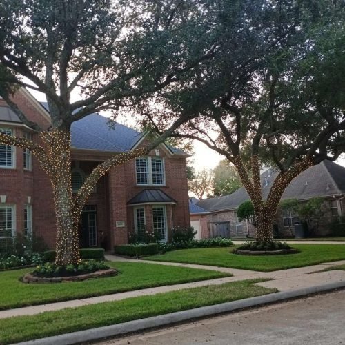 WhatsApp Image 2026-02-05 at 10.29.06 AM (2)