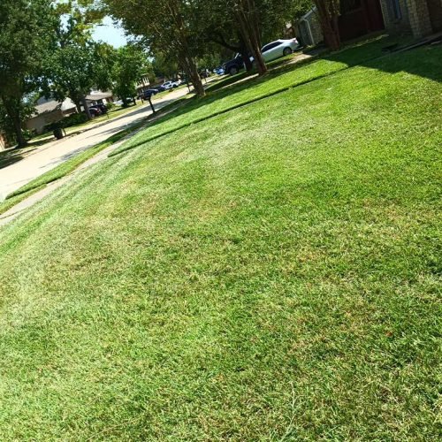 WhatsApp Image 2026-02-05 at 10.29.08 AM (1)