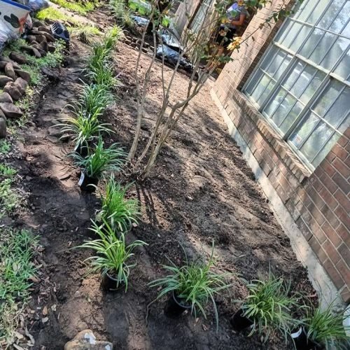 WhatsApp Image 2026-02-05 at 10.29.08 AM (2)