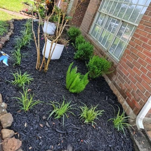 WhatsApp Image 2026-02-05 at 10.29.09 AM (1)