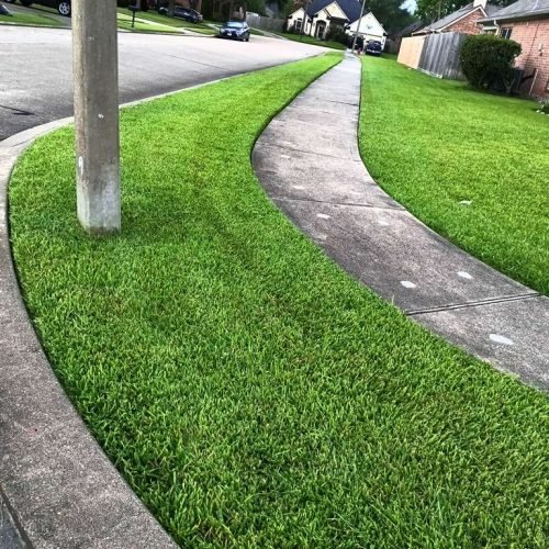 WhatsApp Image 2026-02-05 at 10.29.09 AM (3)