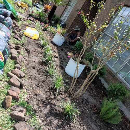 WhatsApp Image 2026-02-05 at 10.29.09 AM