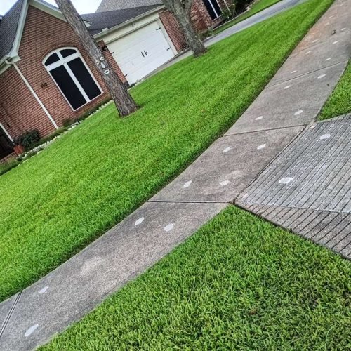 WhatsApp Image 2026-02-05 at 10.29.10 AM (1)