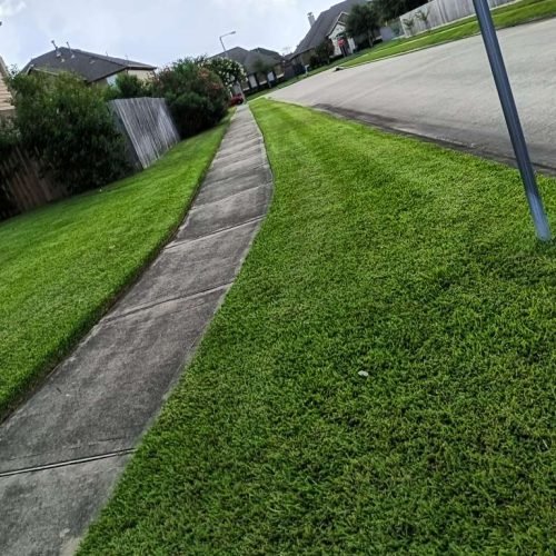 WhatsApp Image 2026-02-05 at 10.29.10 AM (6)