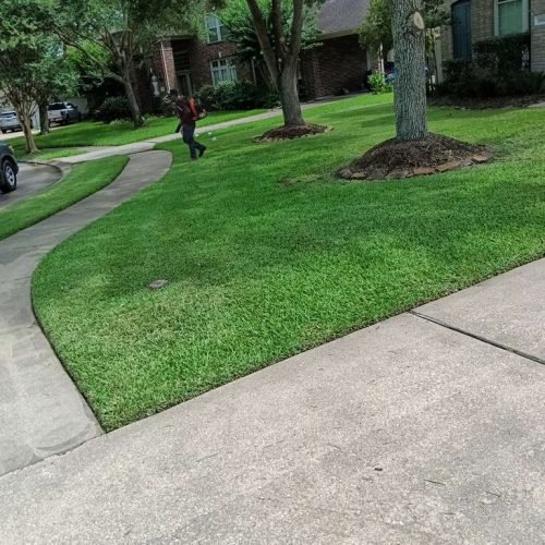 WhatsApp Image 2026-02-05 at 10.29.11 AM (2)