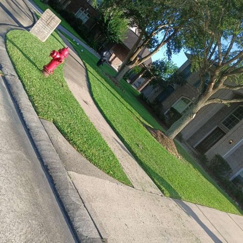 WhatsApp Image 2026-02-05 at 10.29.11 AM (3)