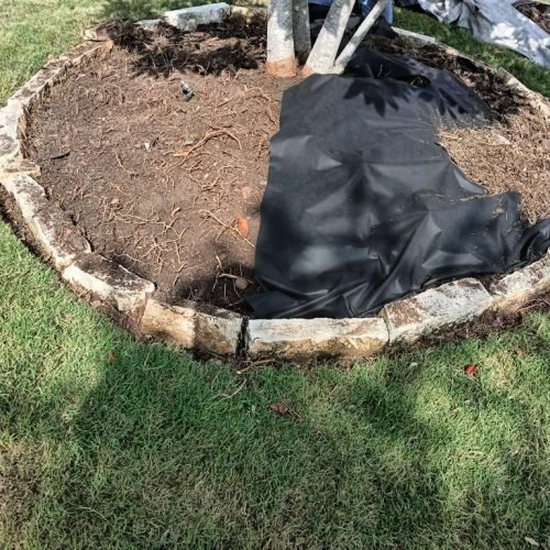 WhatsApp Image 2026-02-05 at 10.29.11 AM (4)