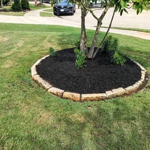 WhatsApp Image 2026-02-05 at 10.29.11 AM (6)