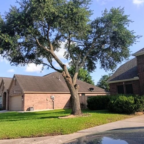 WhatsApp Image 2026-02-05 at 10.29.12 AM (1)