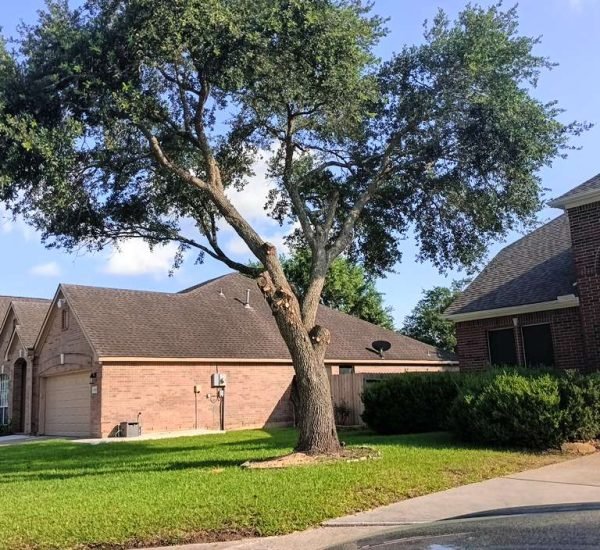 WhatsApp Image 2026-02-05 at 10.29.12 AM (1)