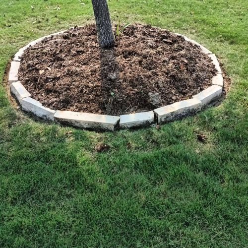 WhatsApp Image 2026-02-05 at 10.29.12 AM (3)