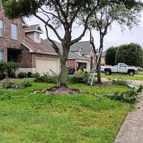 WhatsApp Image 2026-02-05 at 10.29.12 AM (4)