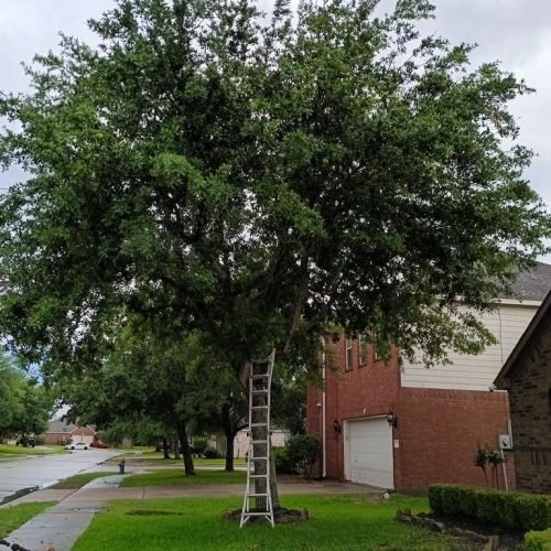 WhatsApp Image 2026-02-05 at 10.29.13 AM (3)